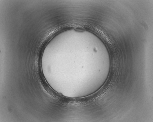 X0000115820538200912041629