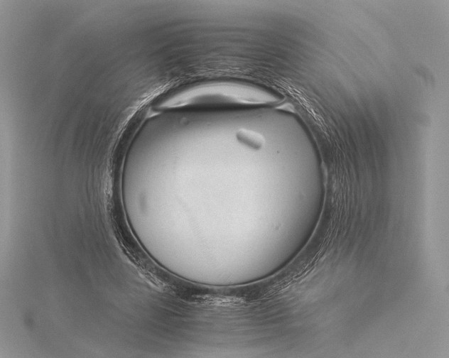 X0000115820539200912041629