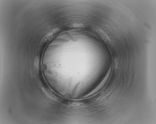 X0000115820542200912041629