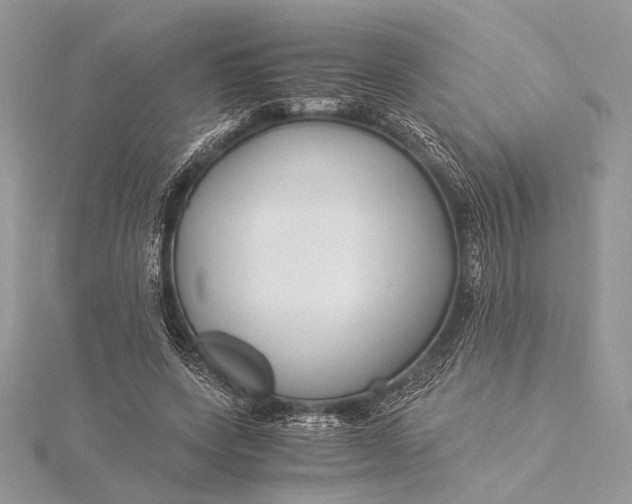 X0000115820543200912041629