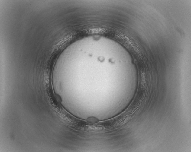 X0000115820545200912041629