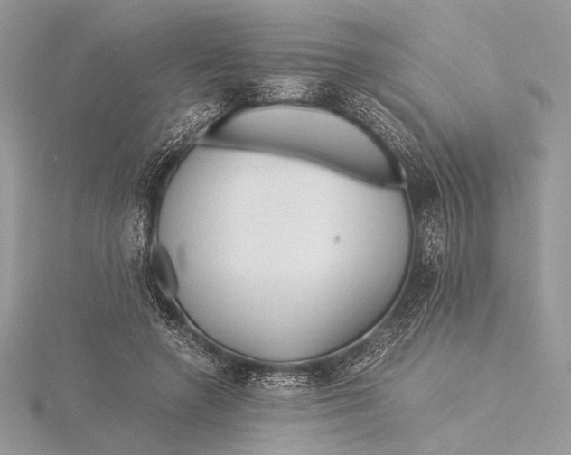 X0000115820546200912041629