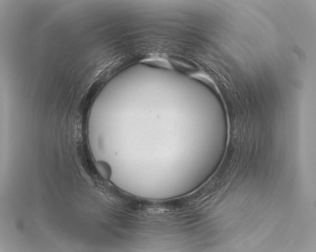 X0000115820547200912041629