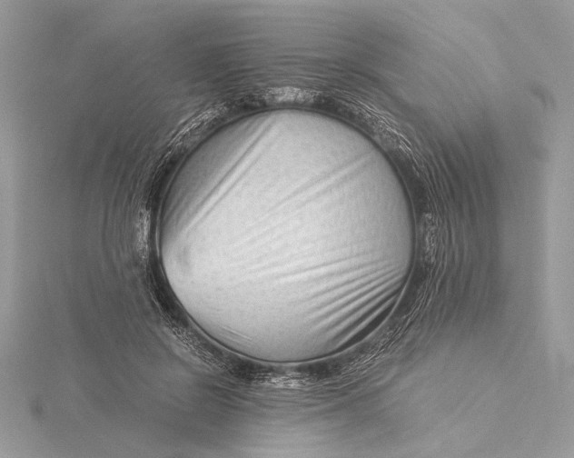 X0000115820550200912041629