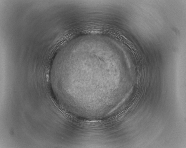 X0000115820553200912041629