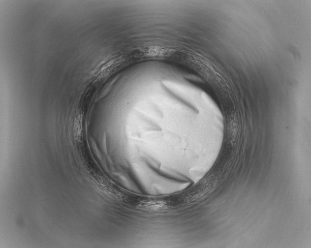 X0000115820554200912041629