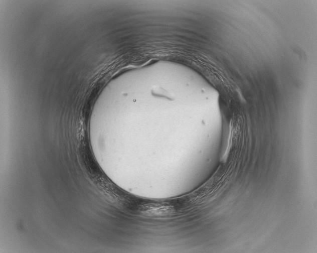 X0000115820555200912041629