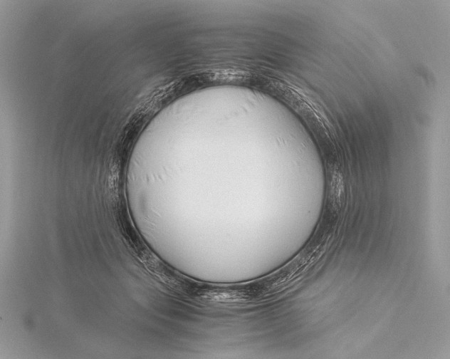 X0000115820557200912041629