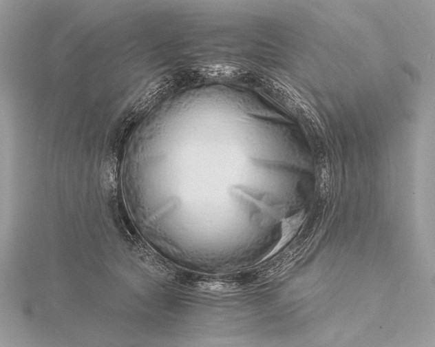 X0000115820561200912041629