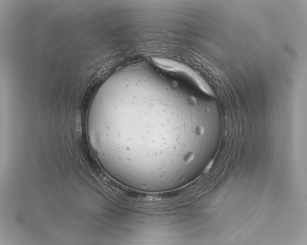 X0000115820562200912041630