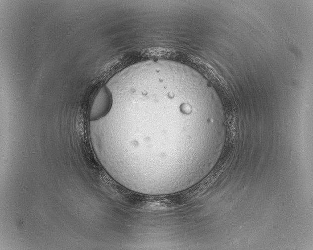 X0000115820569200912041630