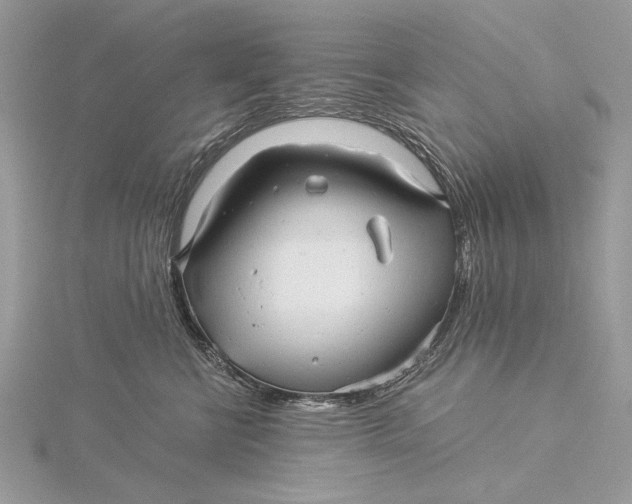 X0000115820570200912041630