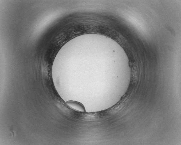 X0000115820574200912041630