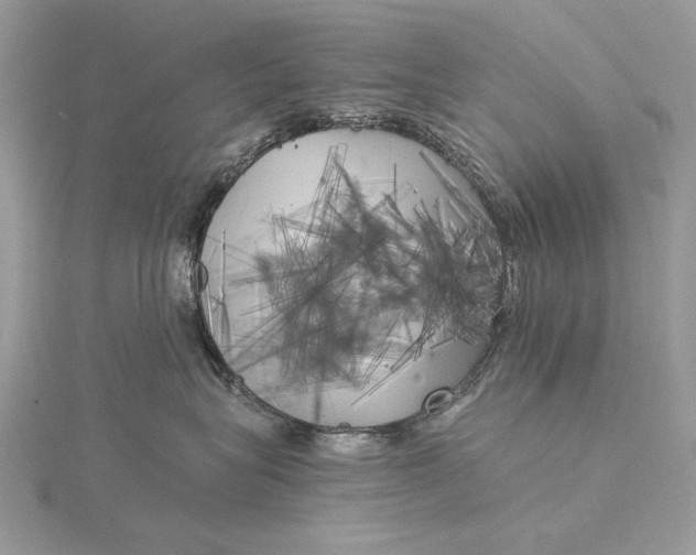 X0000115820575200912041630