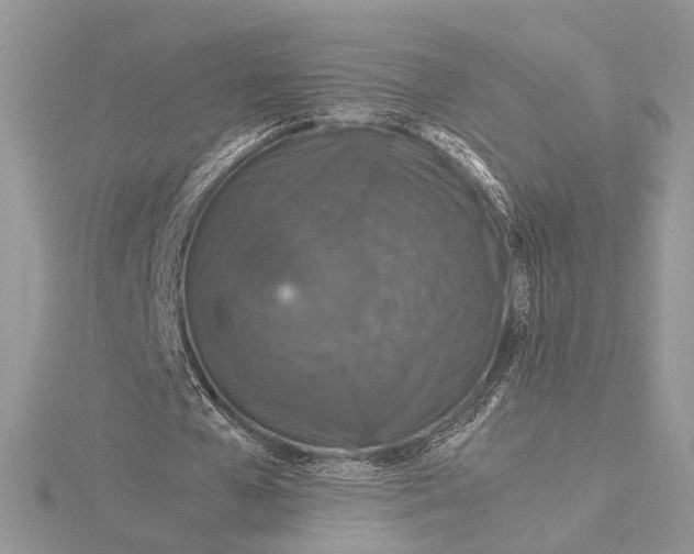 X0000115820577200912041629