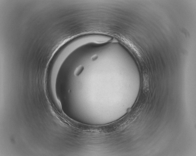 X0000115820580200912041629