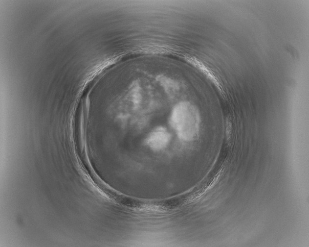 X0000115820581200912041629