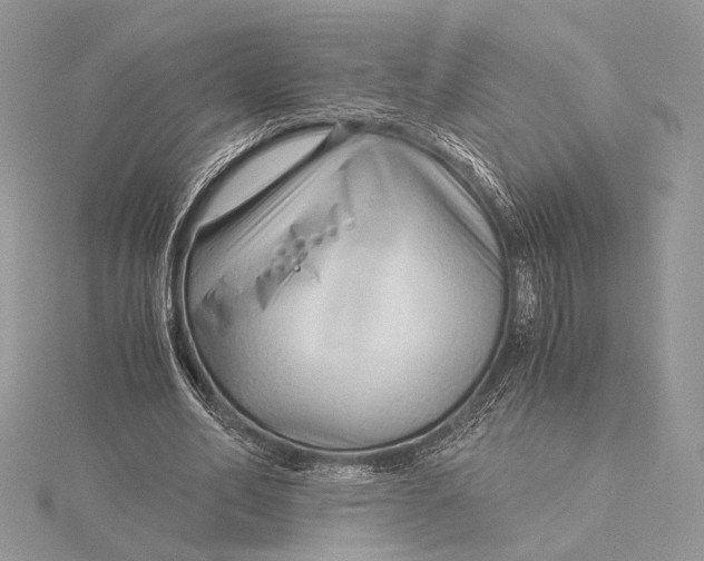 X0000115820582200912041629