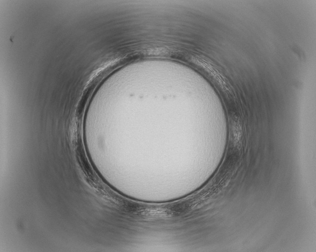 X0000115820583200912041629