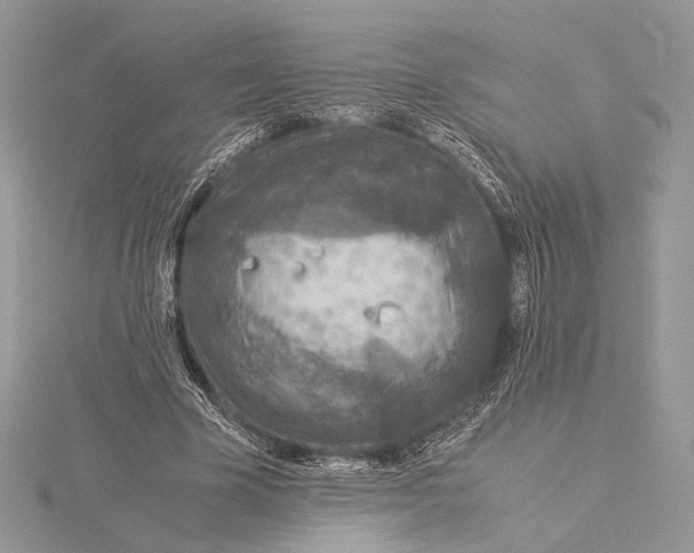 X0000115820585200912041629