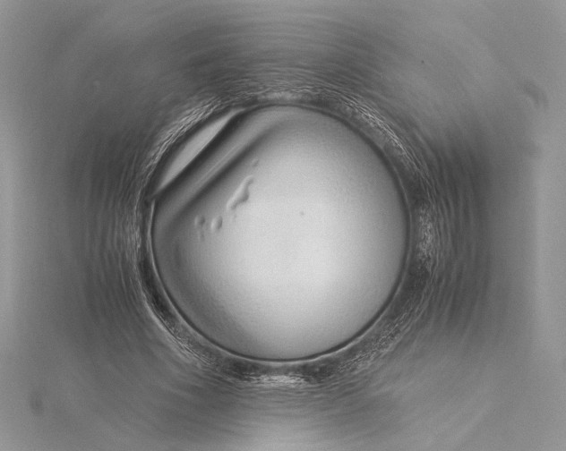 X0000115820586200912041629