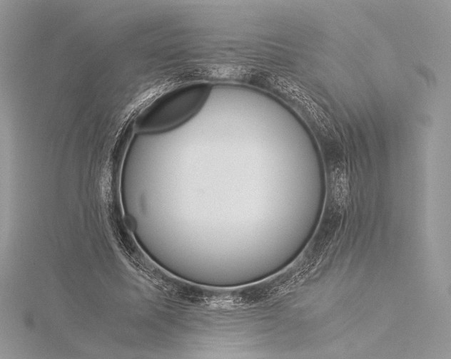 X0000115820587200912041629