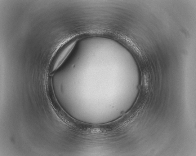 X0000115820588200912041629