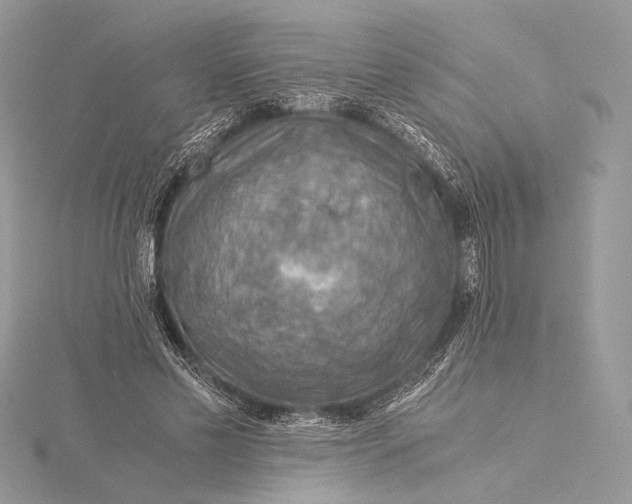 X0000115820589200912041629