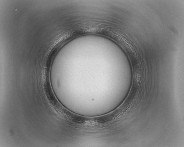 X0000115820591200912041629