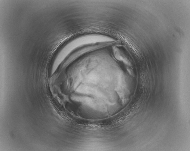 X0000115820592200912041629