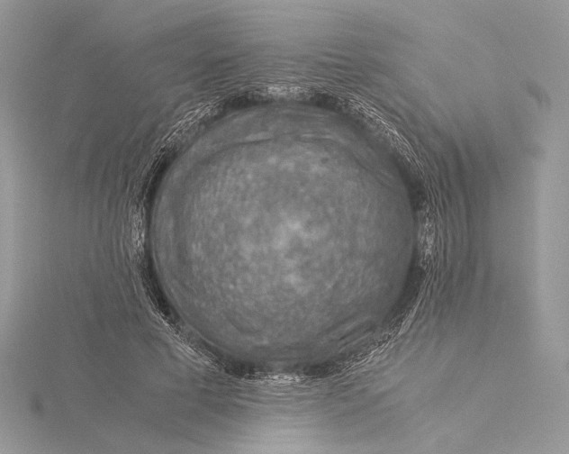 X0000115820593200912041629