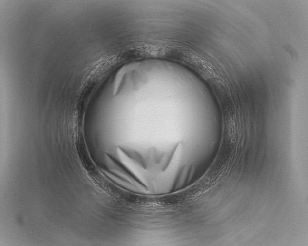 X0000115820594200912041629