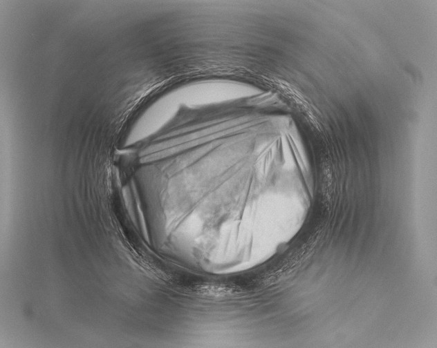 X0000115820596200912041629