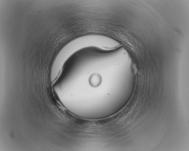 X0000115820597200912041629