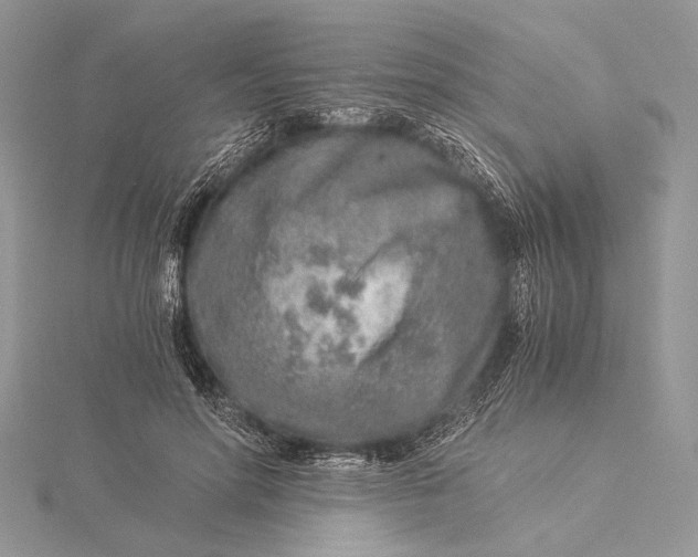 X0000115820598200912041629