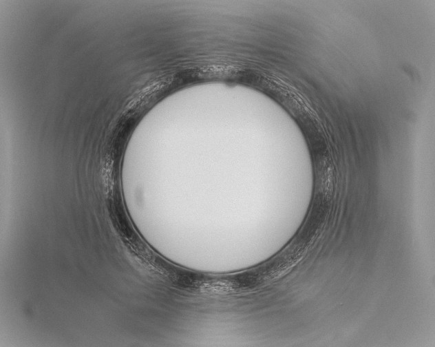 X0000115820599200912041629