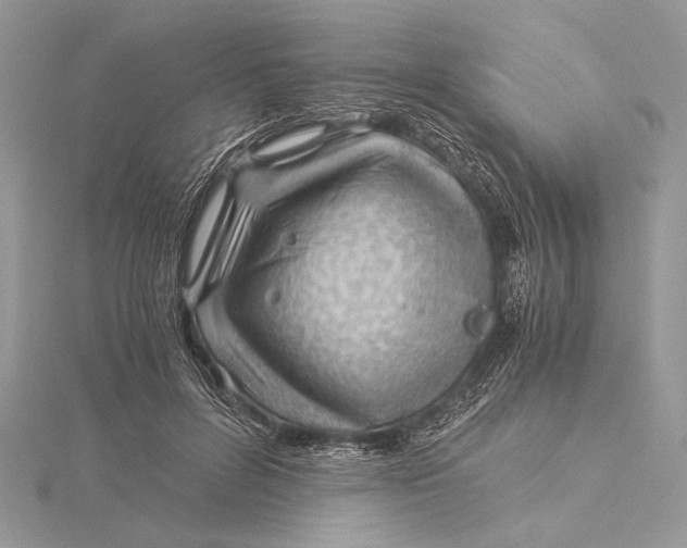 X0000115820600200912041629