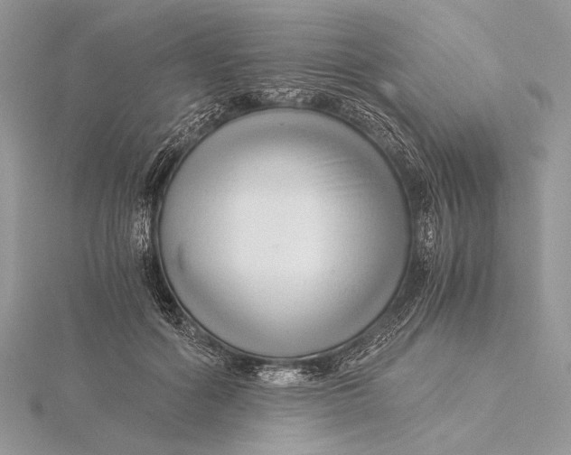 X0000115820602200912041629