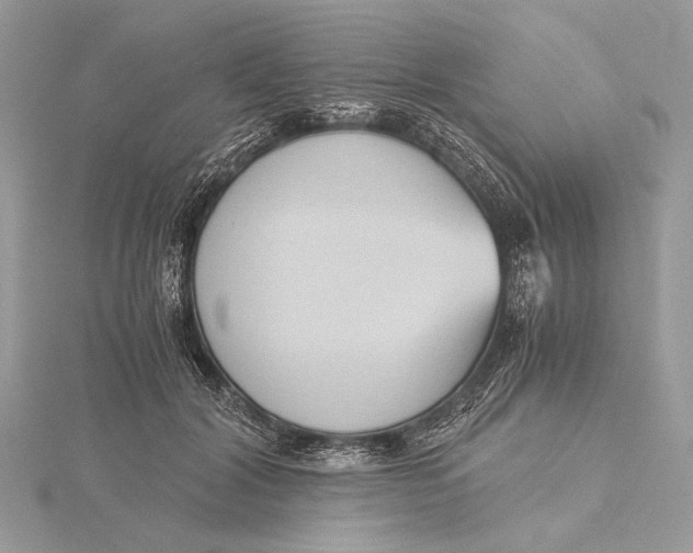 X0000115820604200912041629