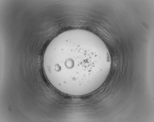 X0000115820605200912041629