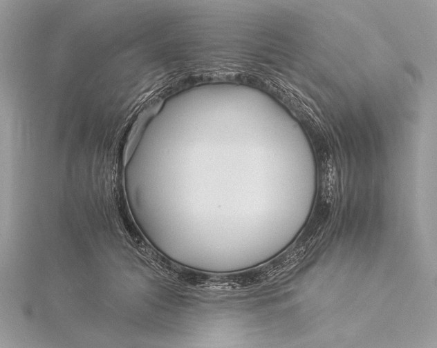 X0000115820608200912041629