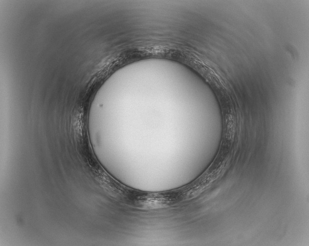 X0000115820612200912041629