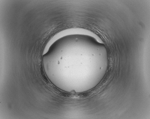 X0000115820613200912041629