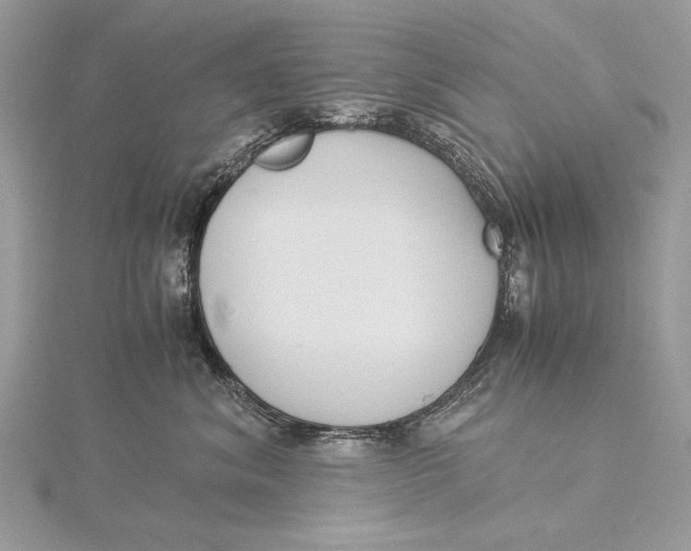 X0000115820620200912041629