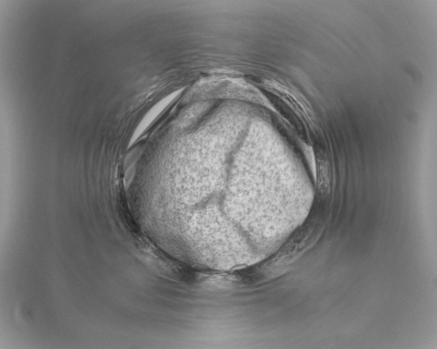 X0000115820621200912041629