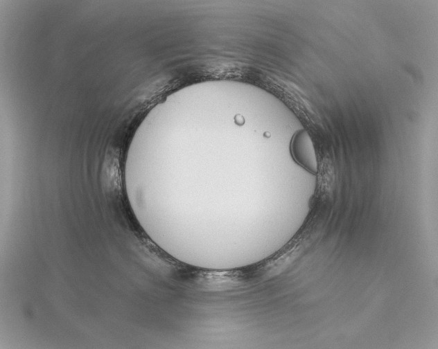 X0000115820622200912041628