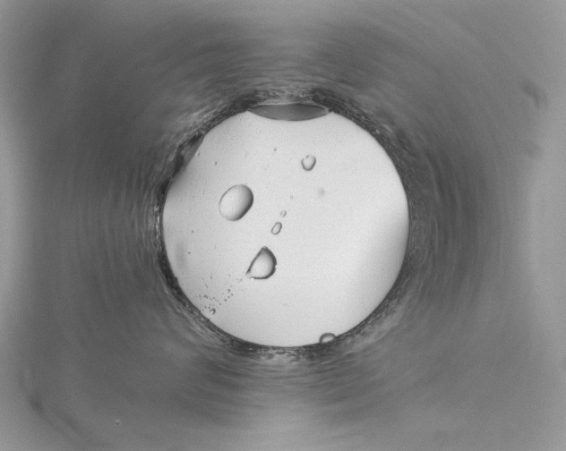 X0000115820624200912041628