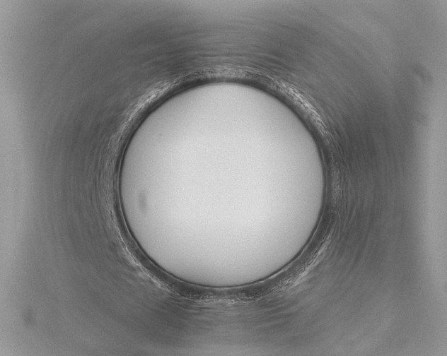 X0000115820625200912041628