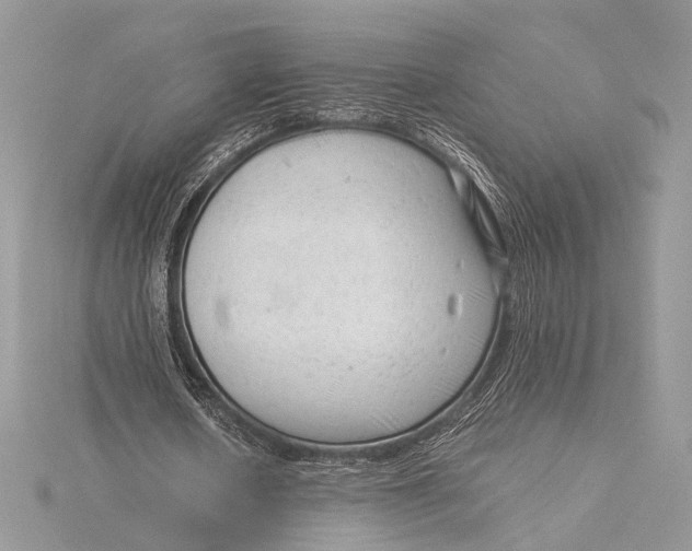 X0000115820626200912041628