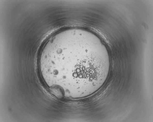 X0000115820629200912041628